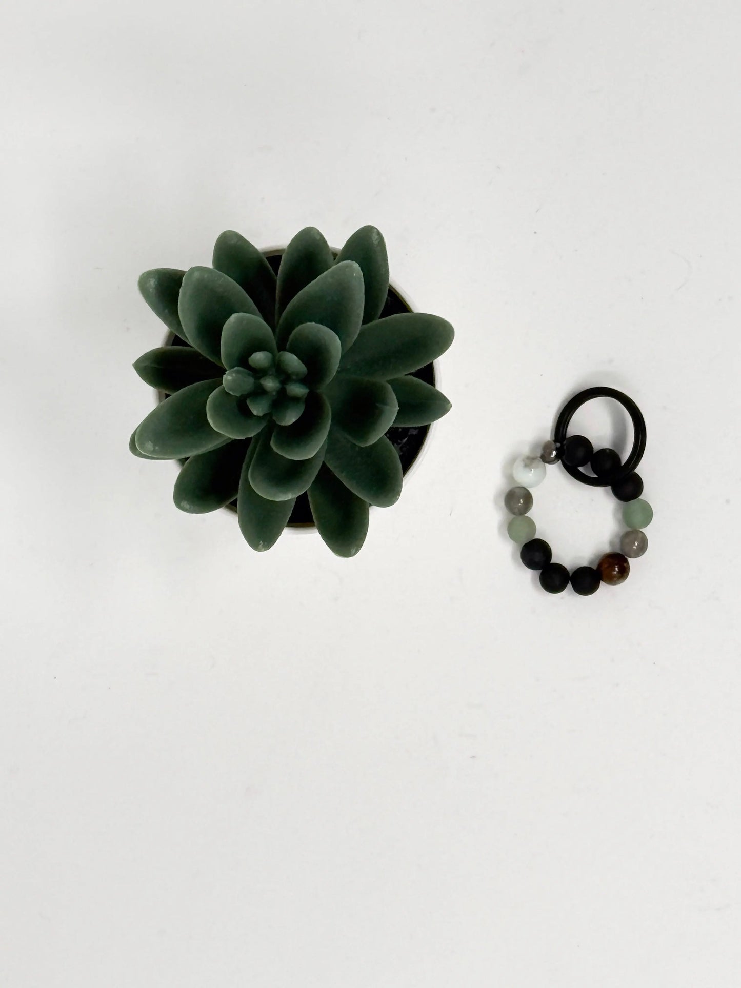 Collection HALO Anima - HALO Allergies Carbon Living