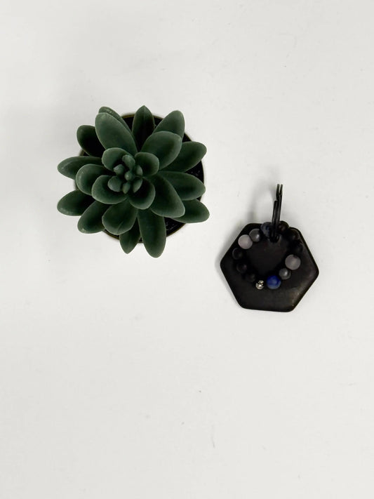 Collection HALO Anima - Vitalité