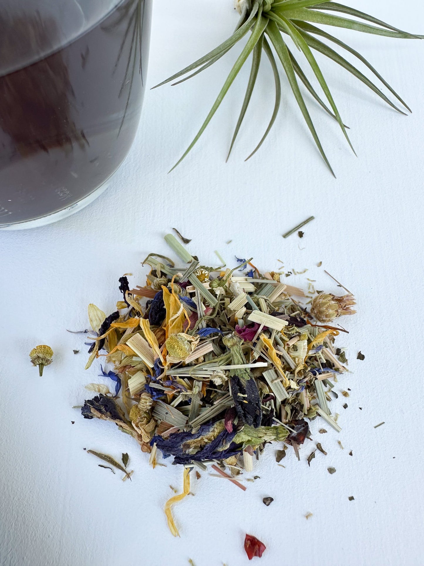 Azul - Sommeil Carbon Living