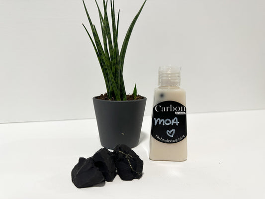 Micro exfoliant MOA Carbon Living