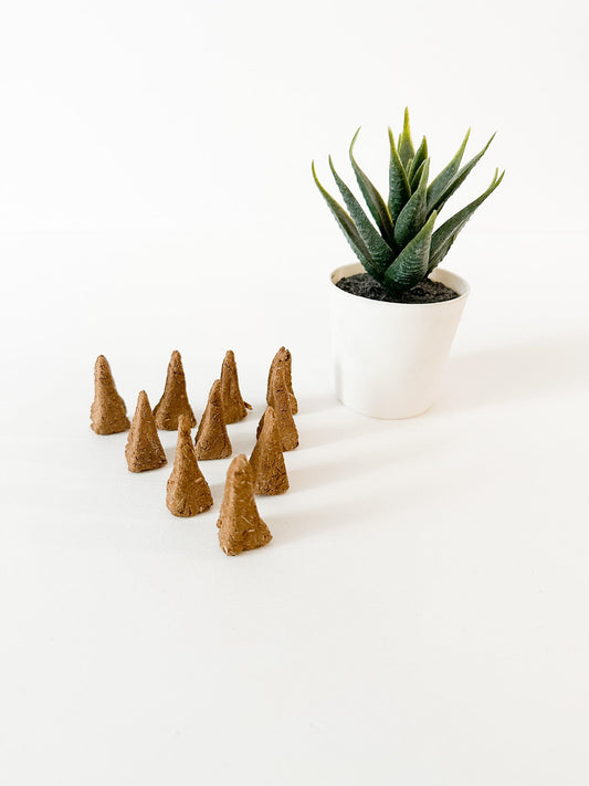 Encens C60 Carbon Living