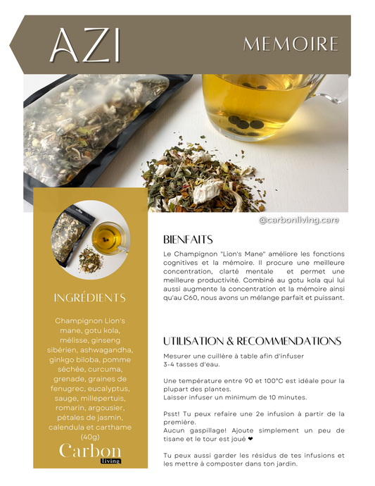 Azi - Mémoire Carbon Living