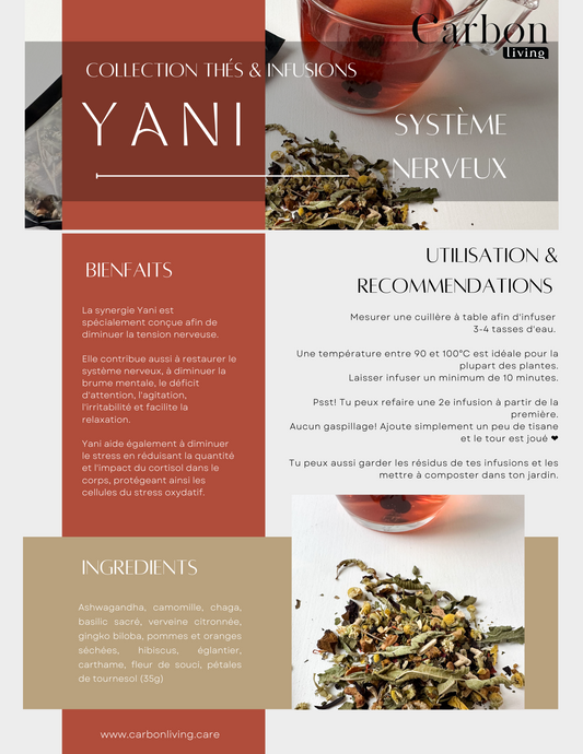 Yani - Système nerveux Carbon Living