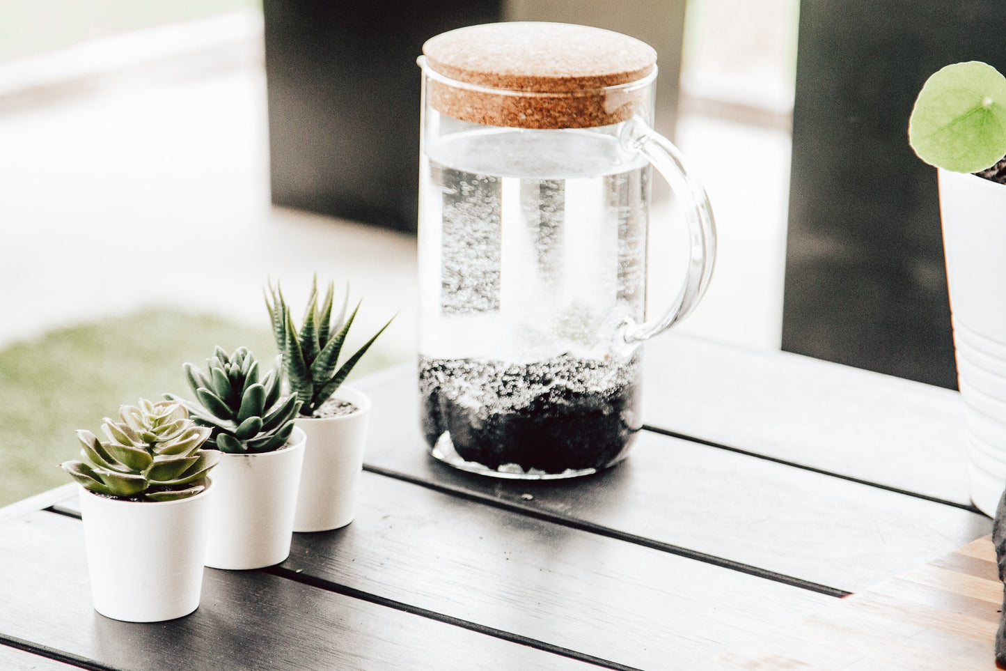 Élixir C60 ÉLITE Carbon Living