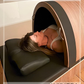 Offre-toi une journée Recharge & Vitalité chez Ankhora