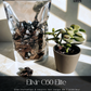 Nourris & Protège ta peau autrement - La collection été Carbon Living