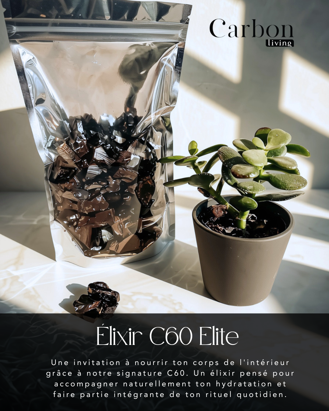 Nourris & Protège ta peau autrement - La collection été Carbon Living