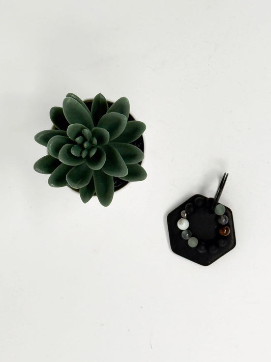 Collection HALO Anima - HALO Allergies Carbon Living