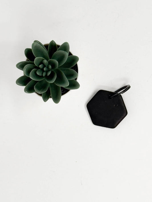 Collection HALO Anima - Médaillon C60 Hexagone Carbon Living