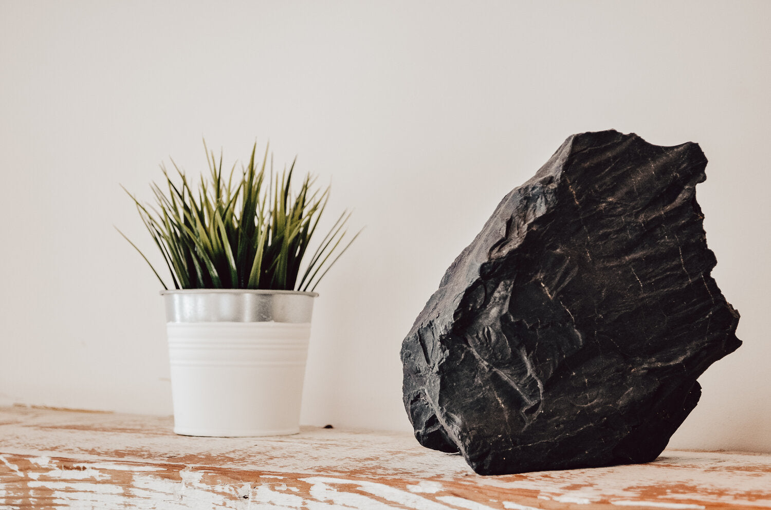 Roca Peace Carbon Living